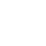 Custom Web Application